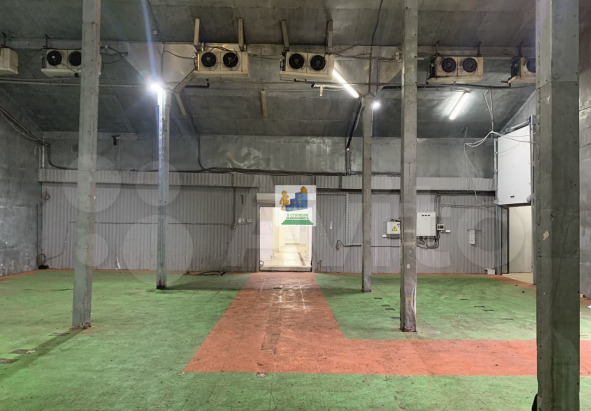 Склад холодильник, пищевое производство 237 м²